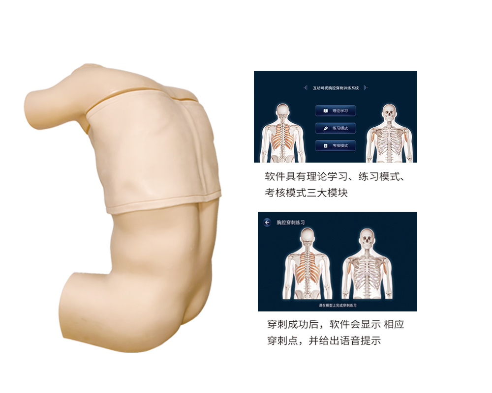 互动可视胸腔穿刺训练系统-2.jpg
