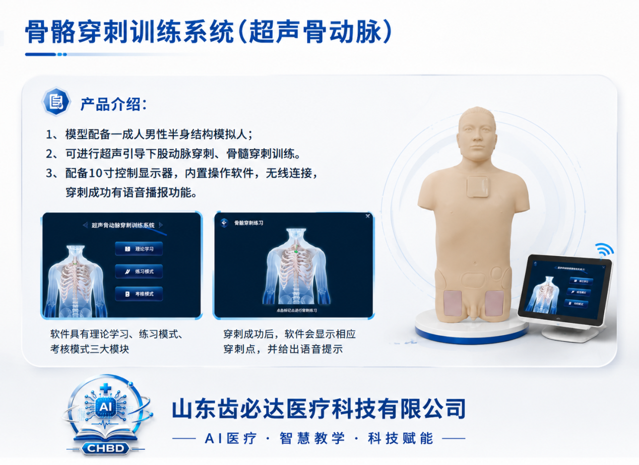 骨髓穿刺训练系统（超声骨动脉）
